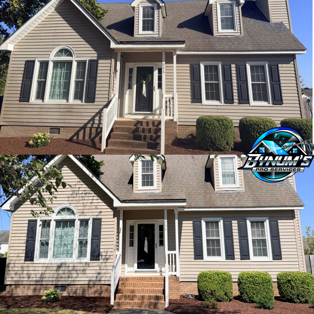 Exterior cleaning project