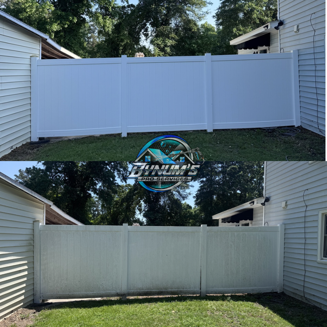 Fence Cleaning